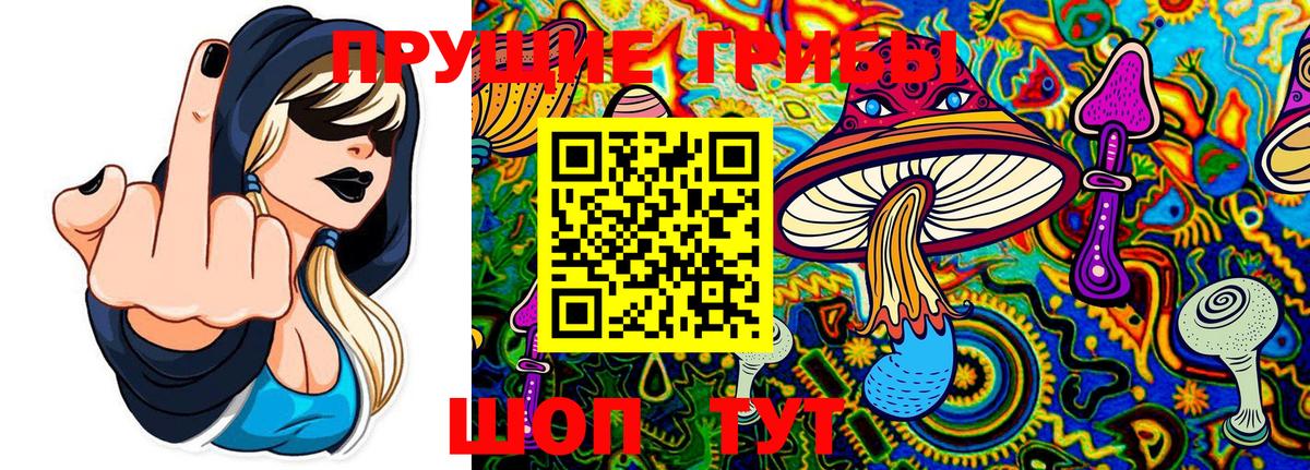 Галлюциногенные грибы MAGIC MUSHROOMS  Вход с VPN  Рязань 